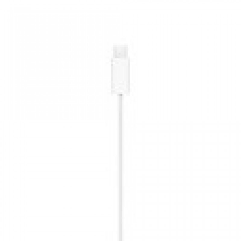 Cáp Apple USB-C to MagSafe 2m Chính hãng Silver