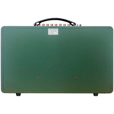 Loa công suất New Discovery T216